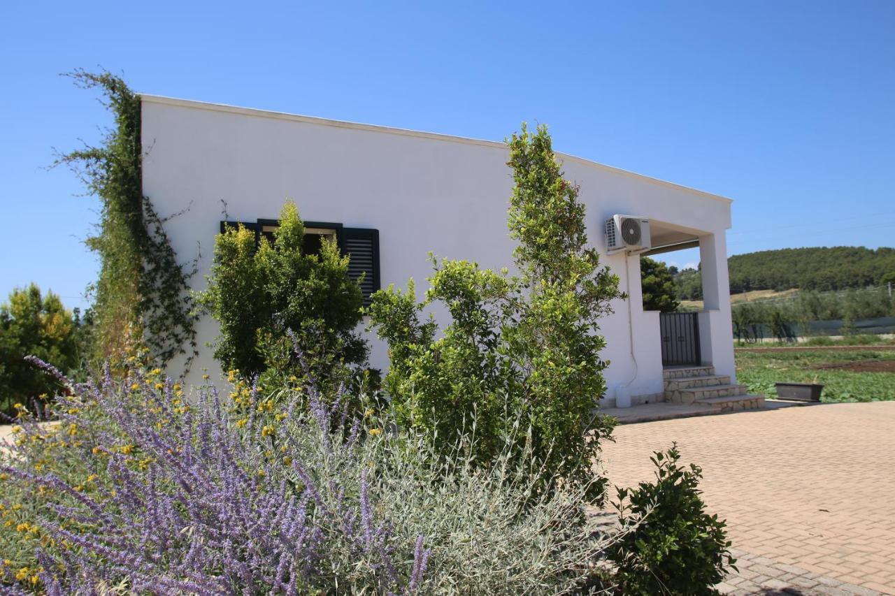 Annaluce Apartments Vieste Extérieur photo